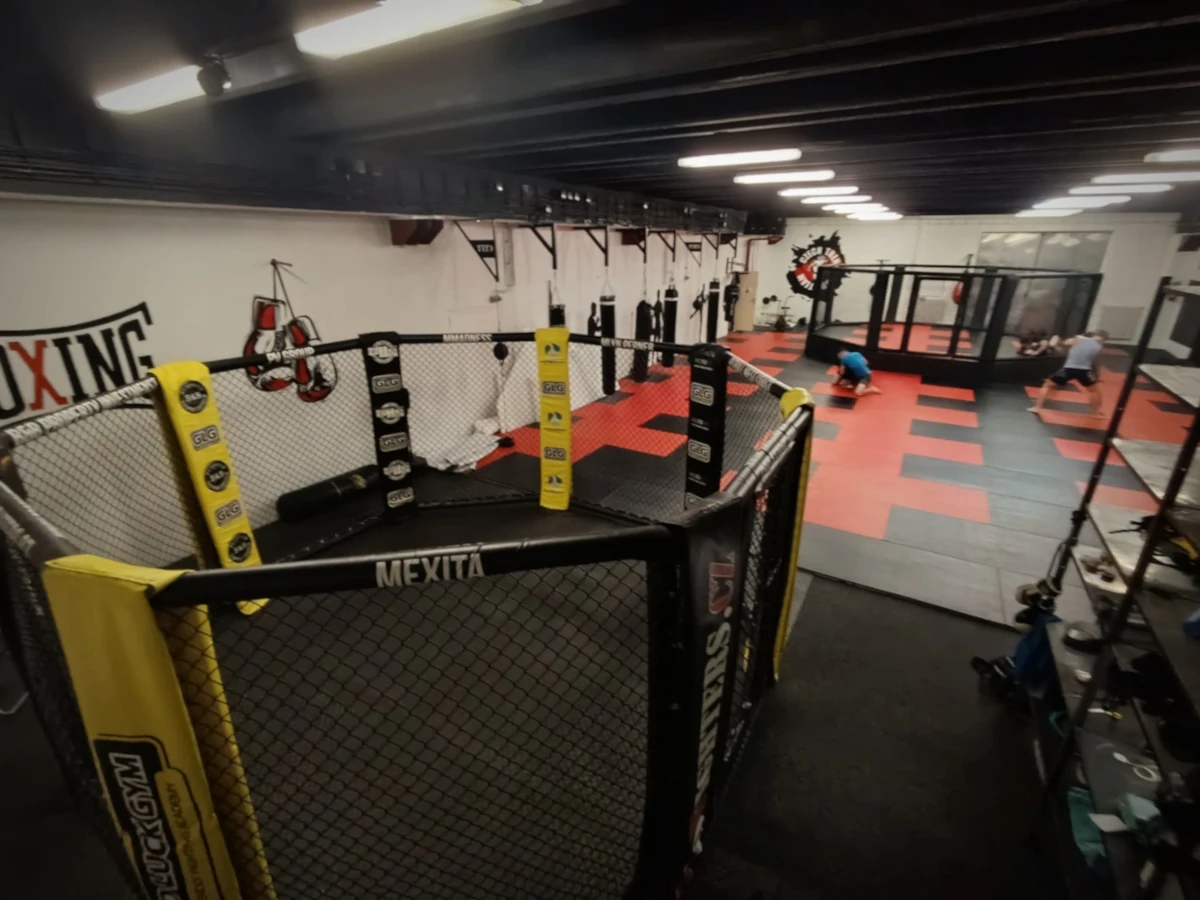 Trénink boxu - lapy